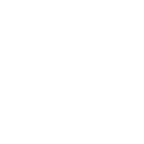 broken image