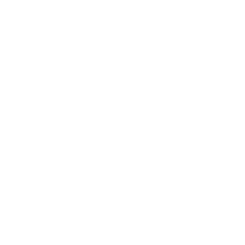 broken image