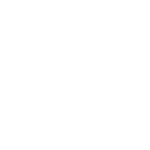 broken image