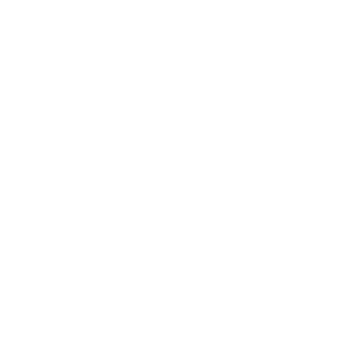 broken image