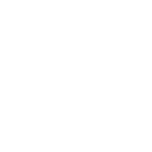 broken image