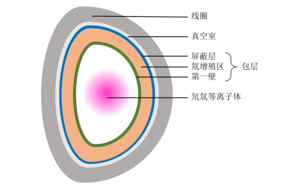 聚变堆基本结构剖面示意图，摘自激光聚变