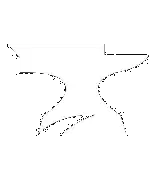 broken image