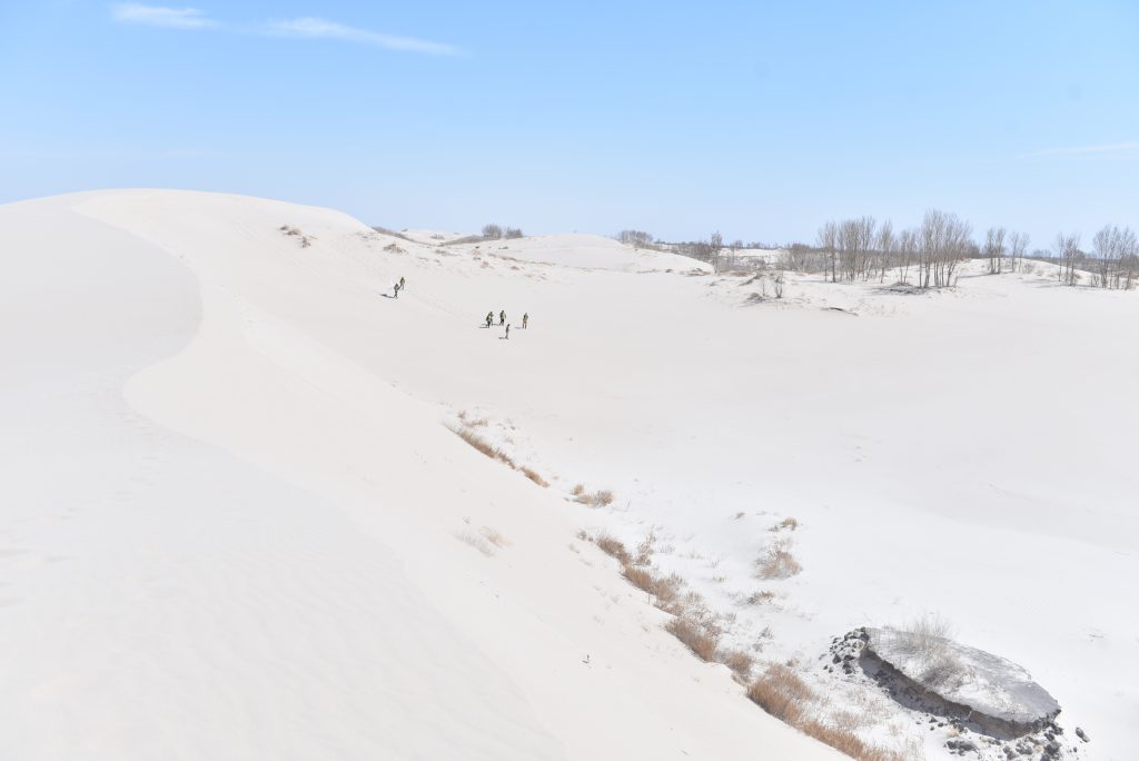 Section image