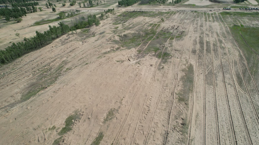 Section image