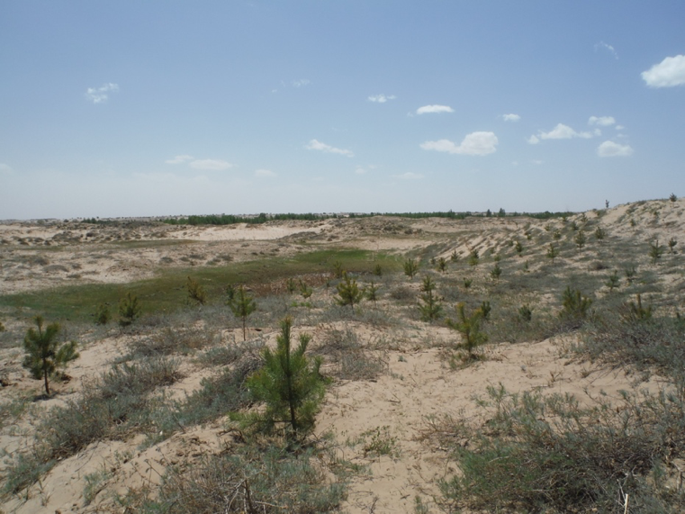 Section image