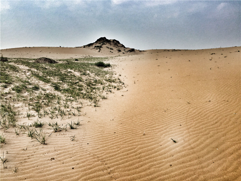 Section image