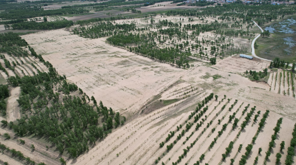 Section image
