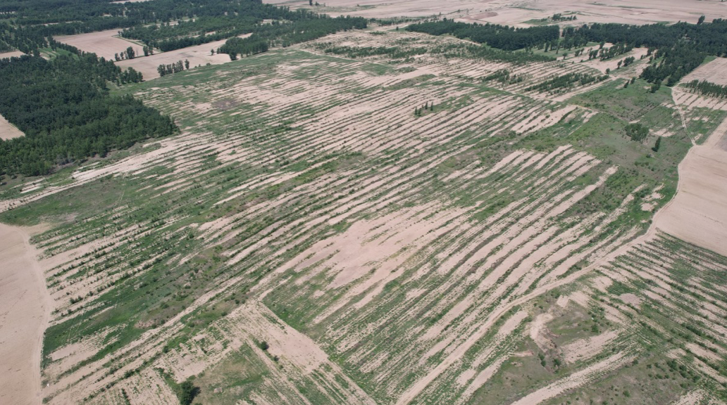 Section image