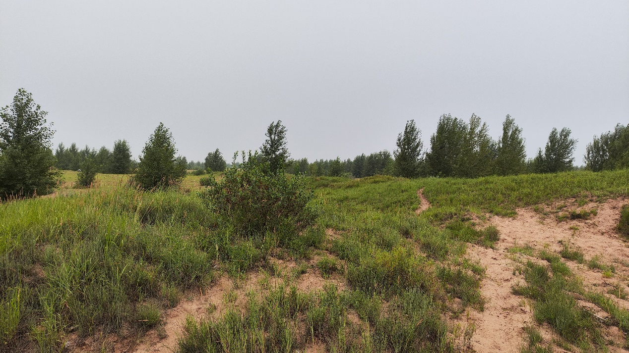 Section image