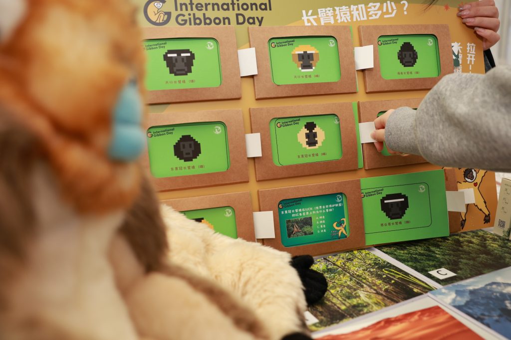 游客在参与长臂猿互动问答游戏