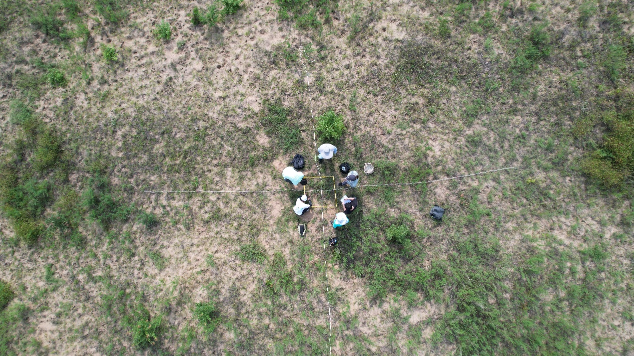 Section image