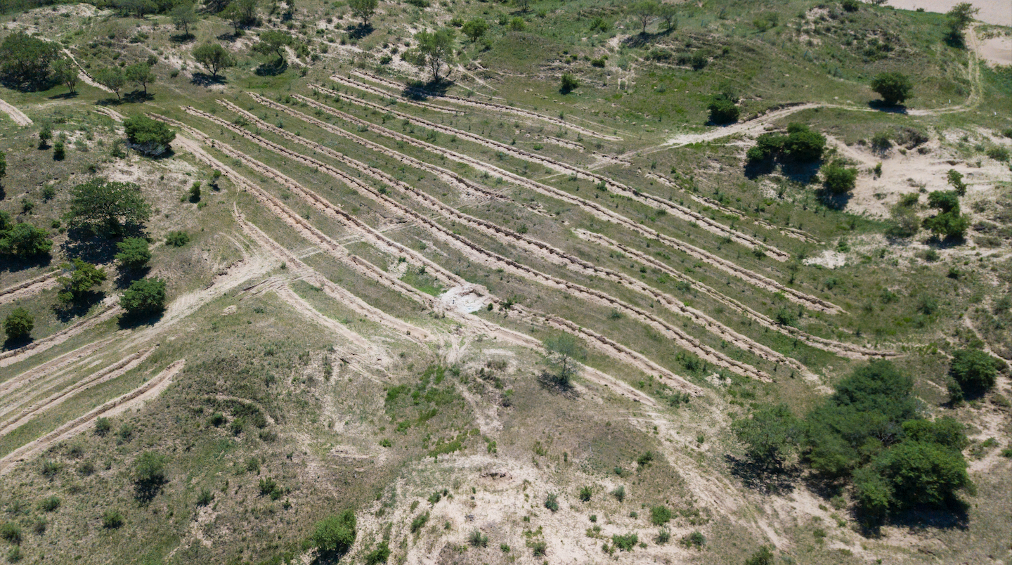 Section image