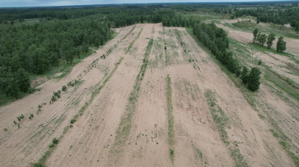 Section image