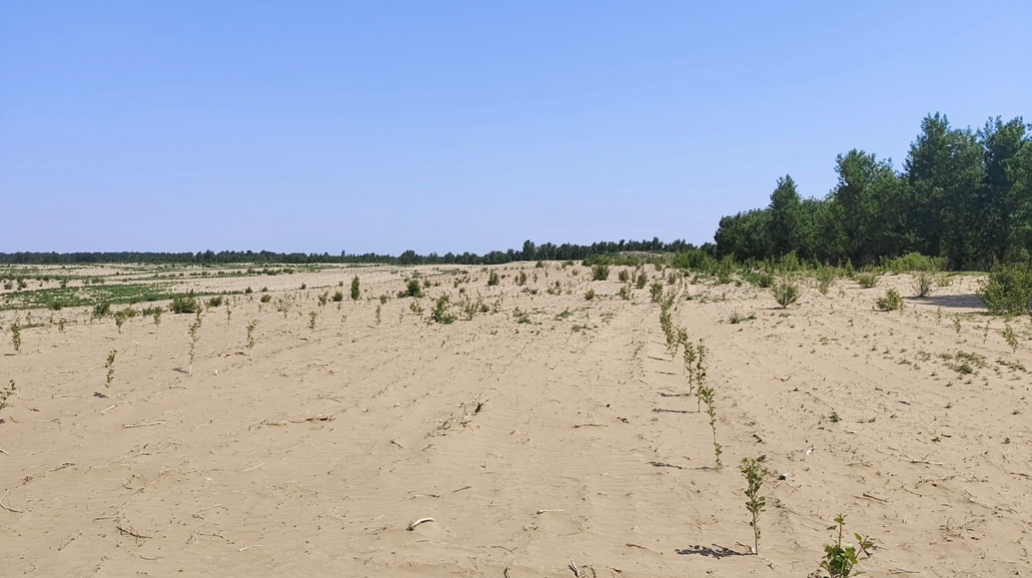 Section image