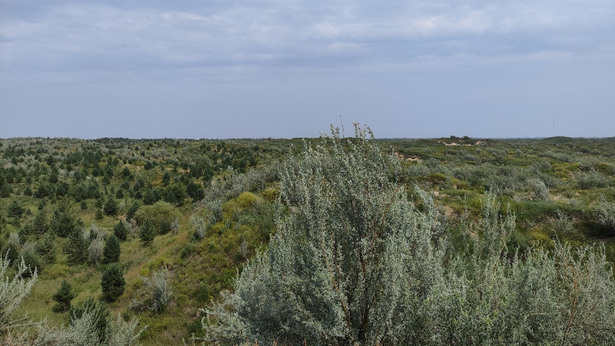 Section image