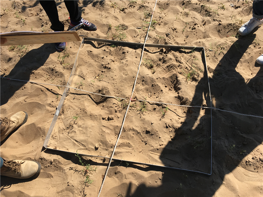 Section image