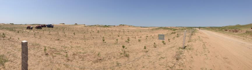 Section image