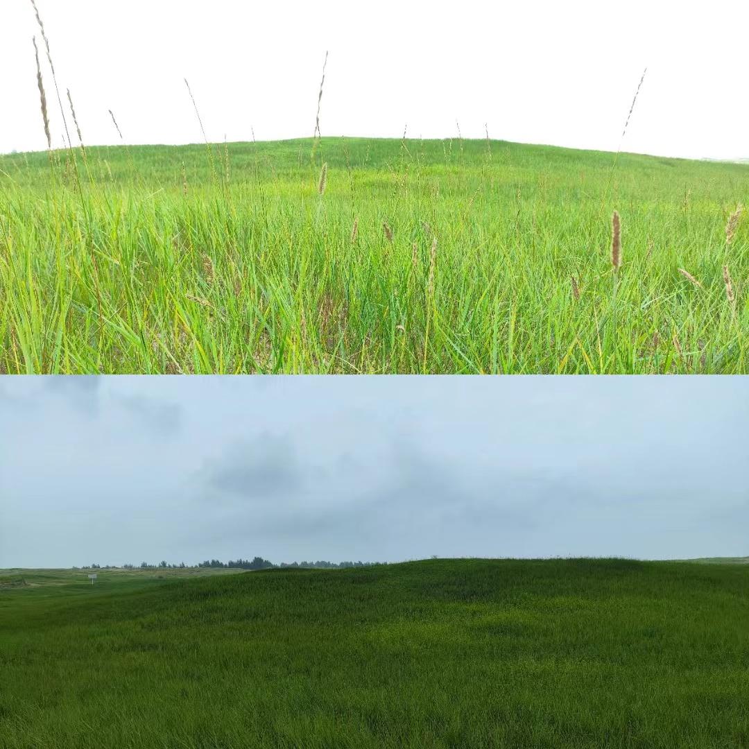 Section image
