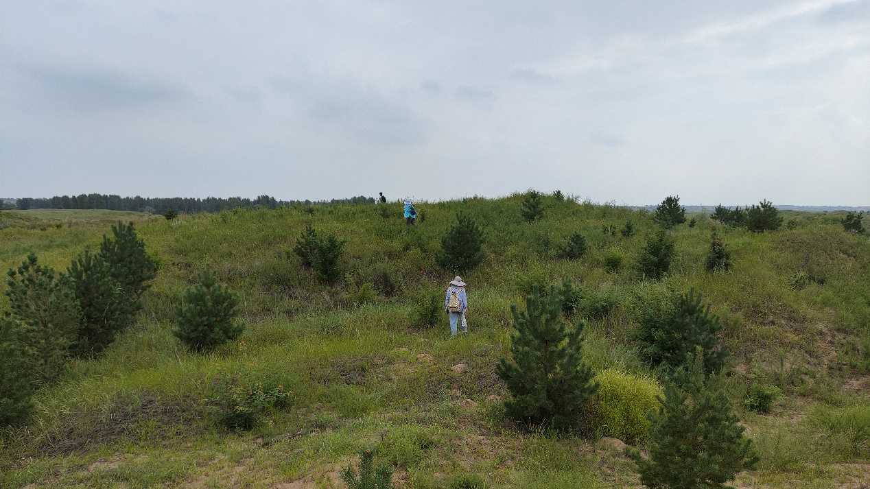 Section image