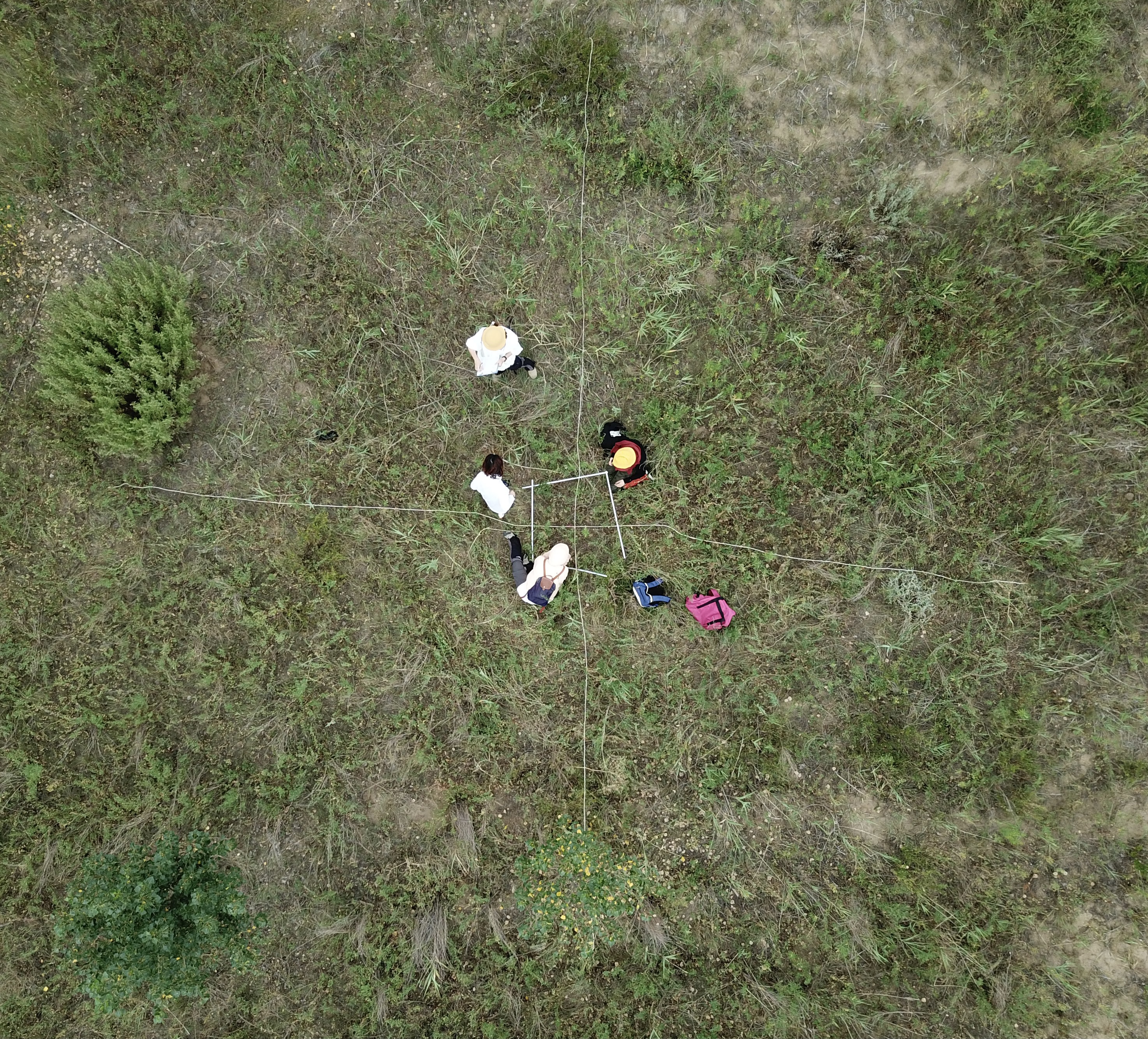 broken image