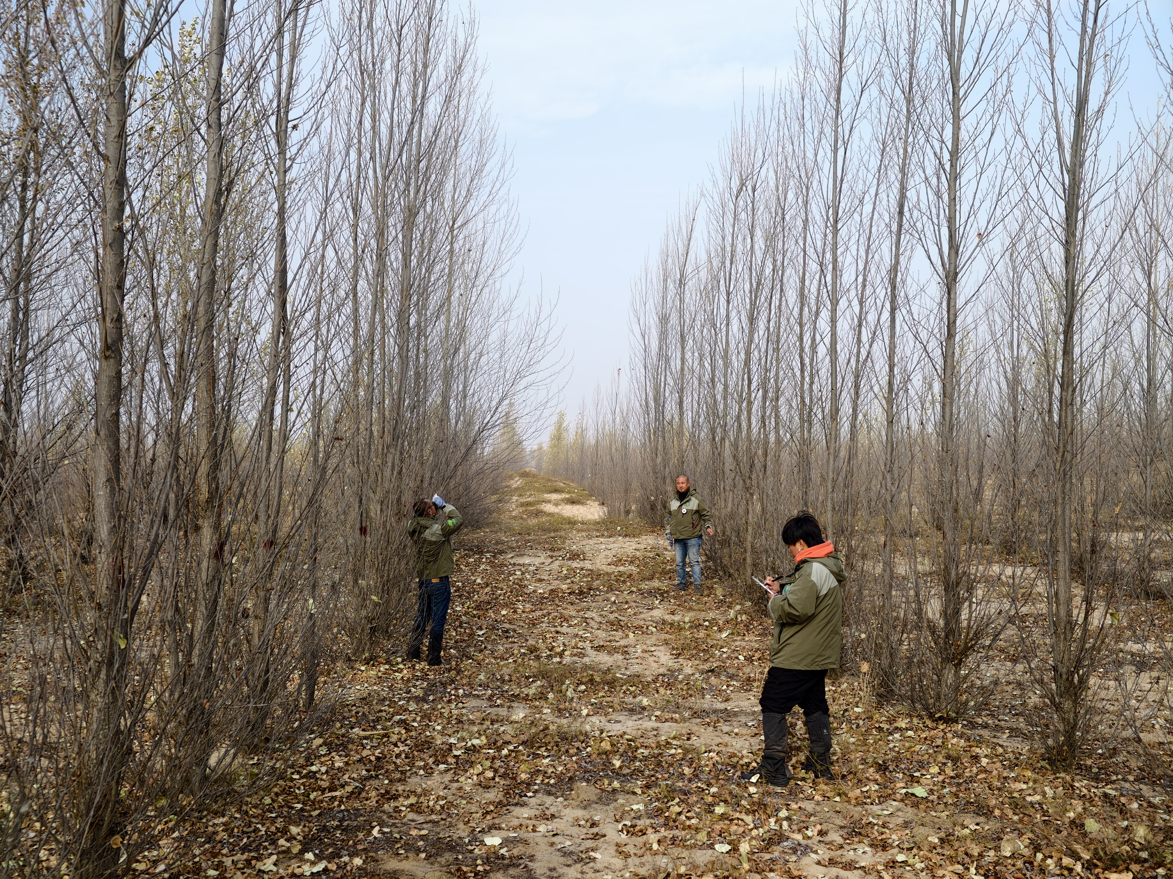 当地人员进行调查的过程 王凯摄