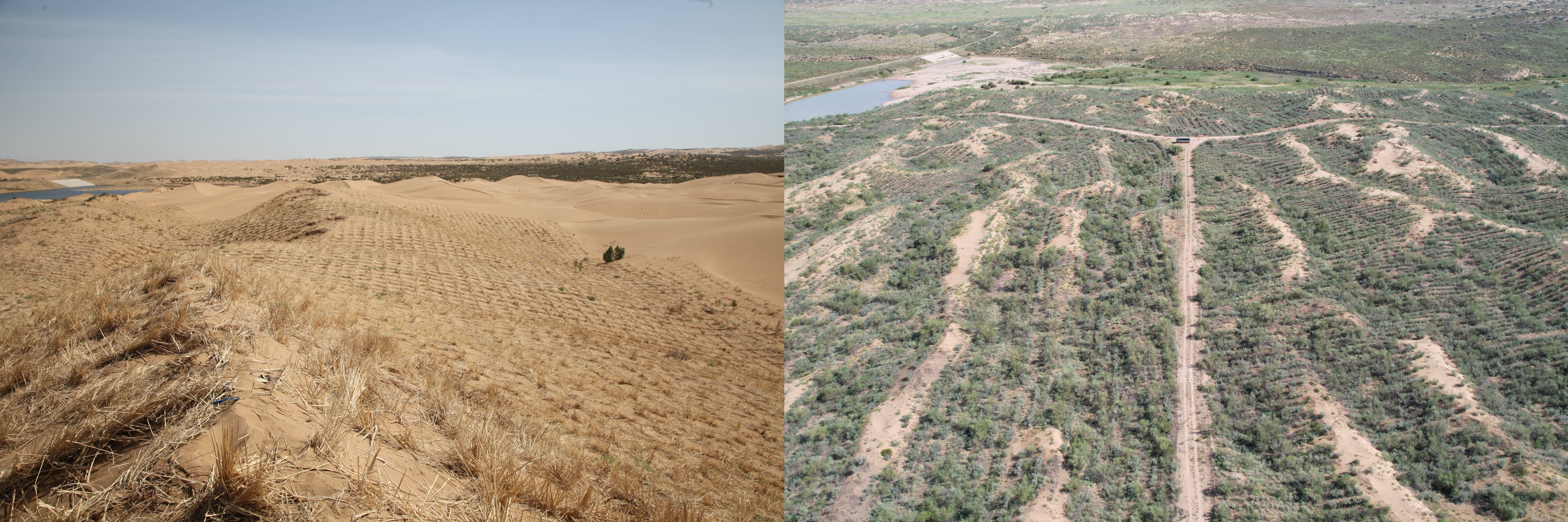 Section image