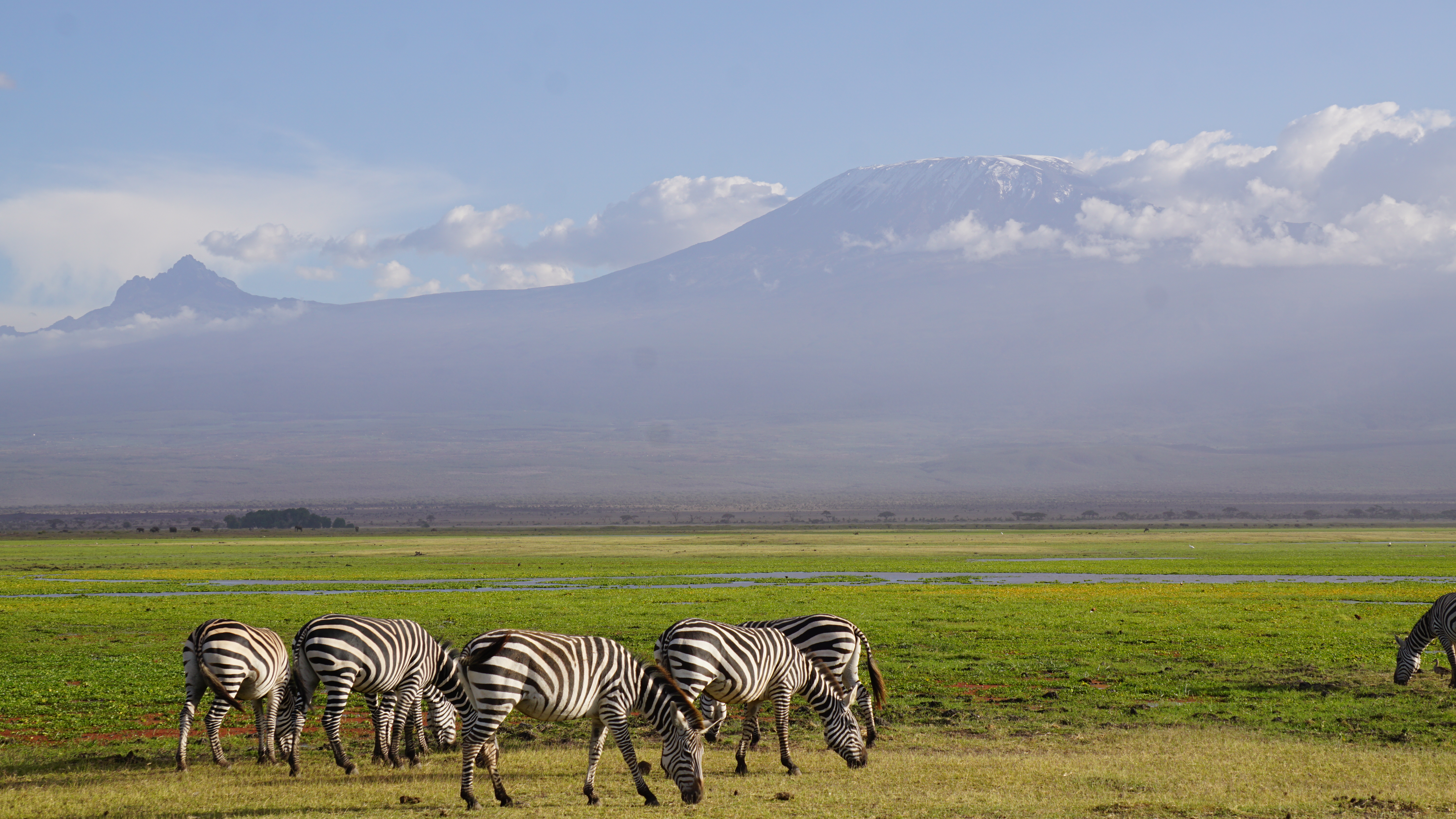 东非肯尼亚旅游马赛马拉、内罗毕、安博塞利、奈瓦沙湖、纳库鲁湖8日游 - 东非队长
