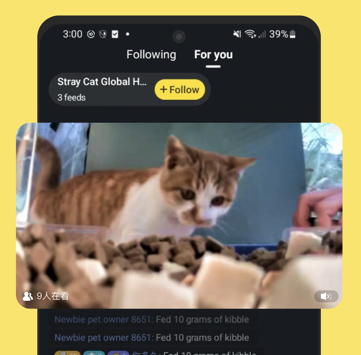 broken image