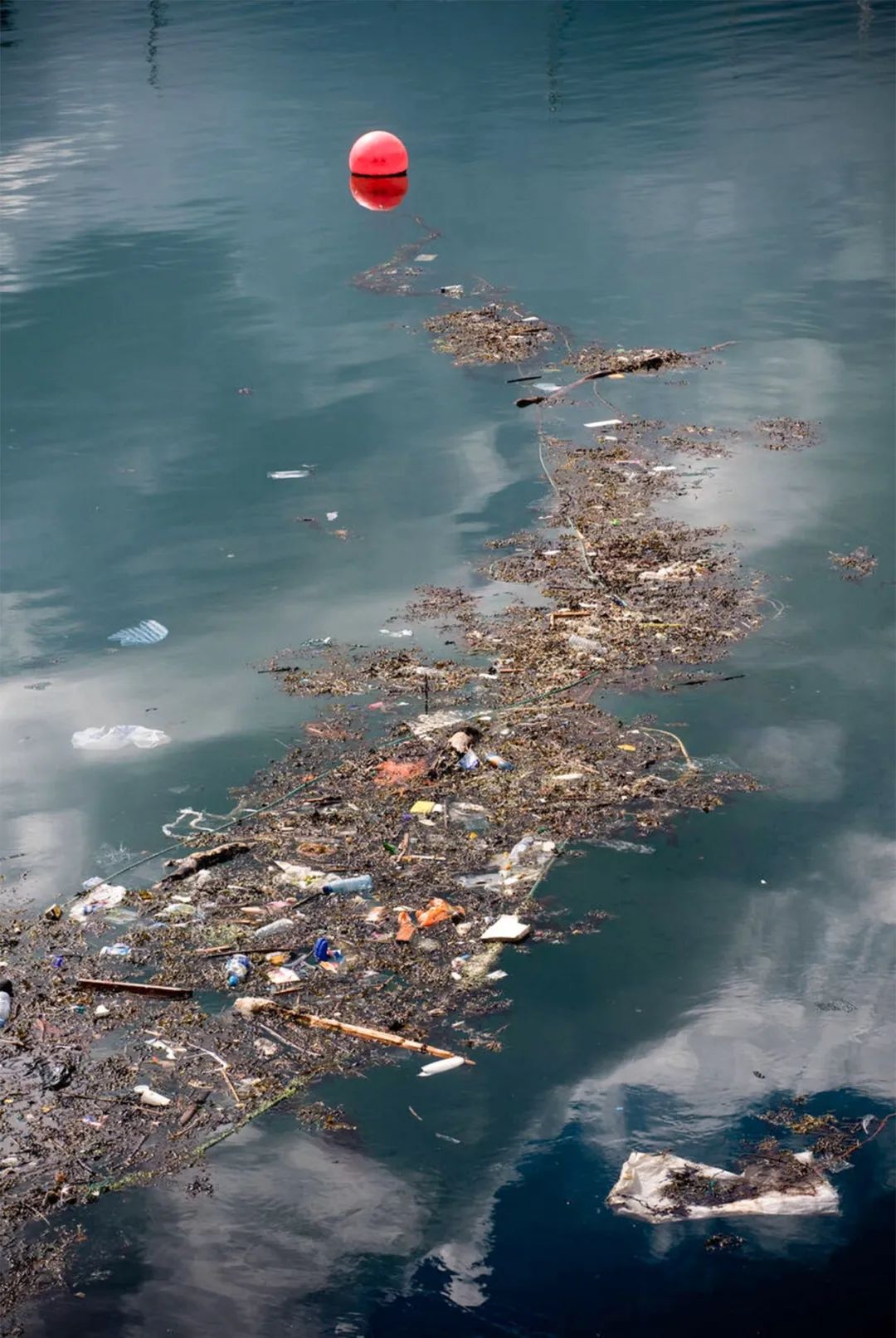 （太平洋上的垃圾 图：壹图网）