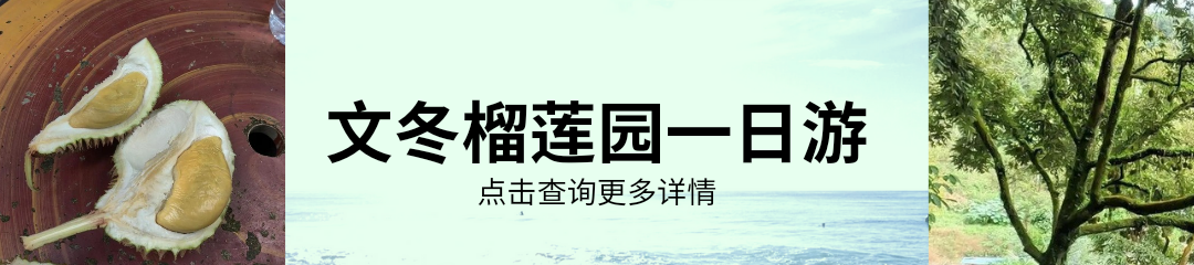 文冬榴莲园+周边景点路线