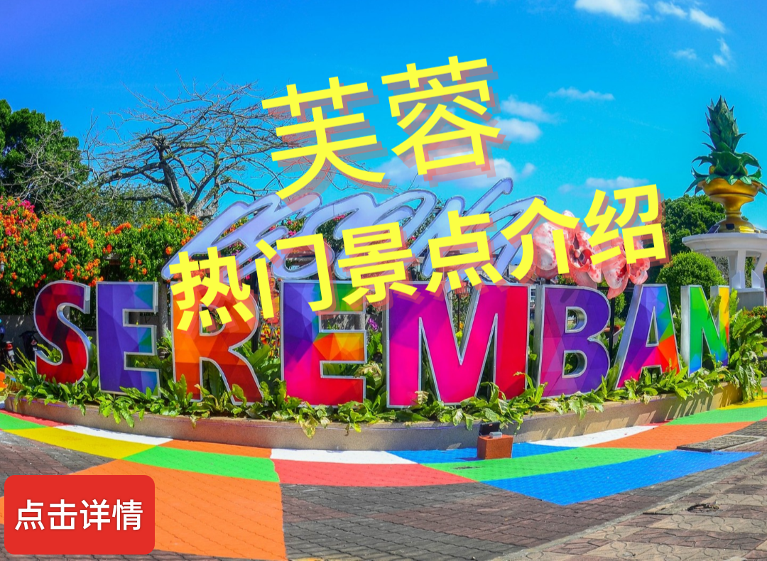 芙蓉经典介绍