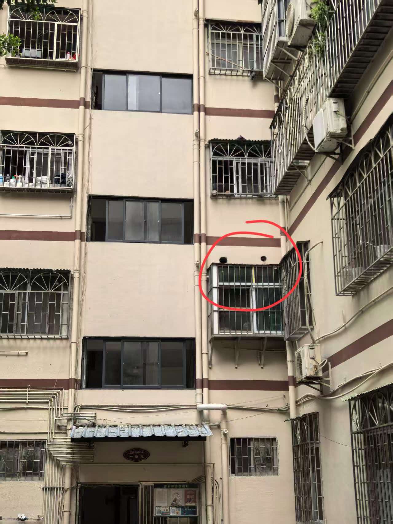 天花板异响、老鼠啃咬痕迹？小狸猫虫控（深圳市小狸猫有害生物防制工程有限公司）灭鼠真实案例：痕迹排查+巢穴定位+管道封堵，免费勘查，电话13424229295。