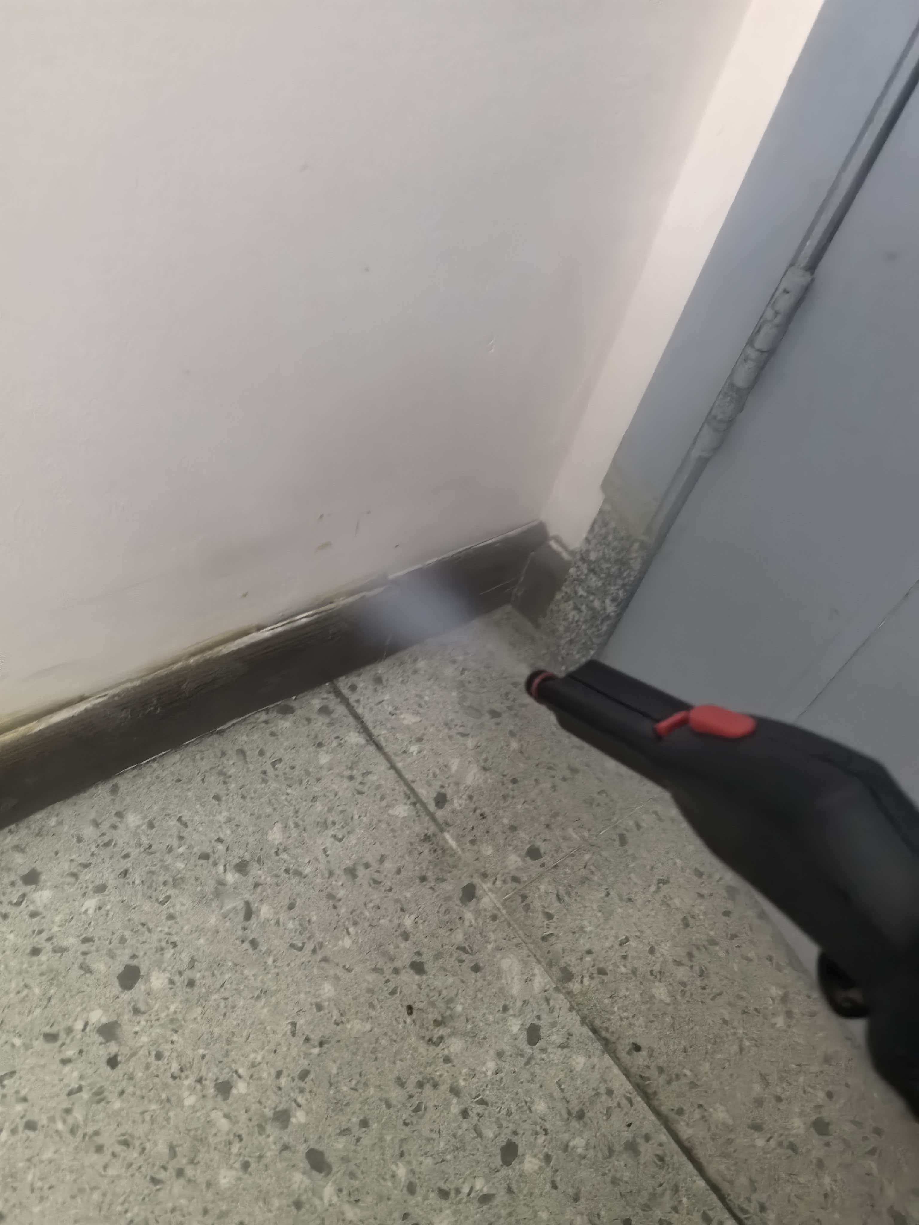 高温干蒸汽可有效杀灭跳蚤的所有未成熟阶段（卵、幼虫、蛹），且无化学残留，对人和宠物安全。