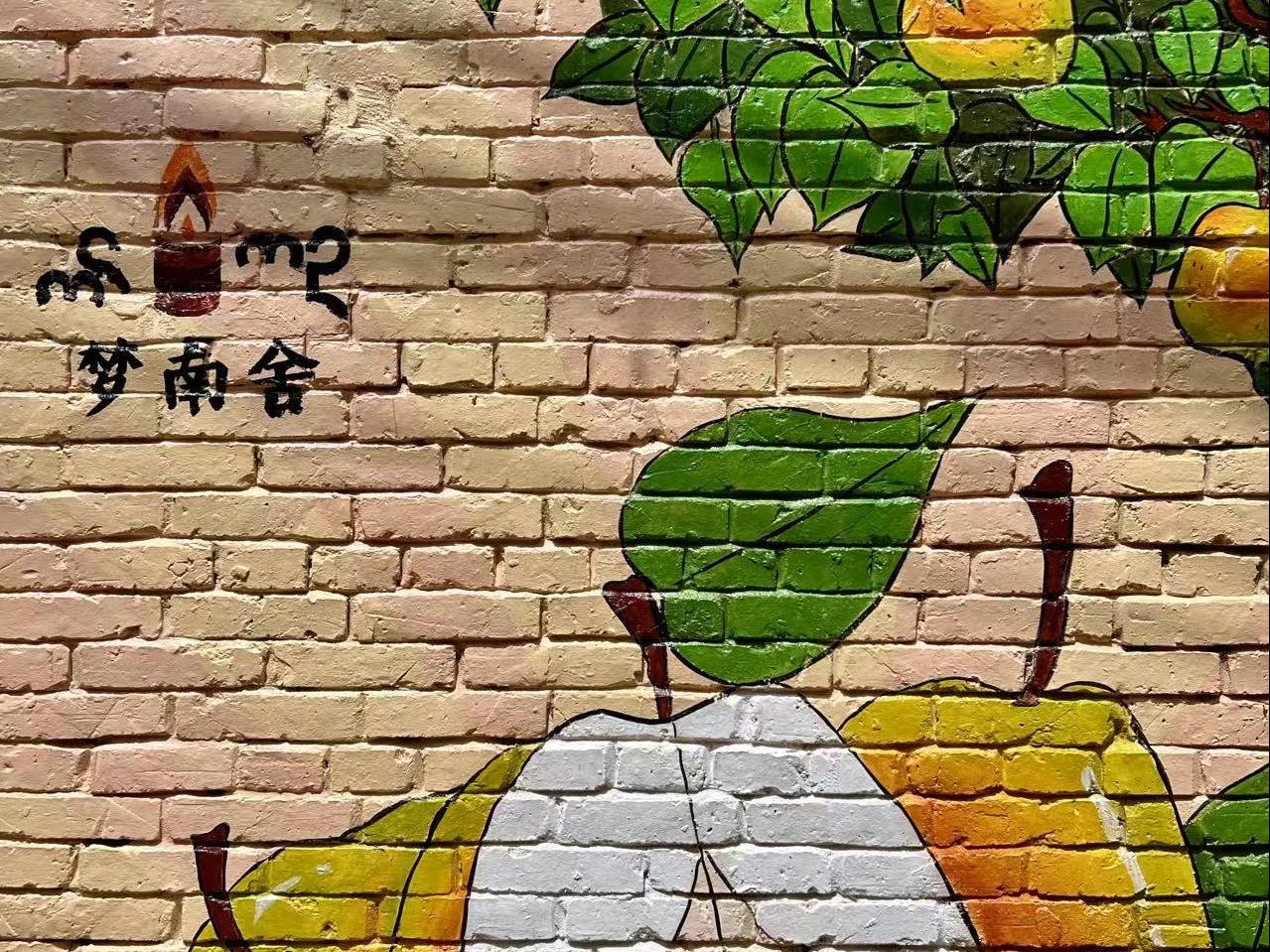 2020 梦南舍入驻雁塔村，开启助力乡村振兴项目