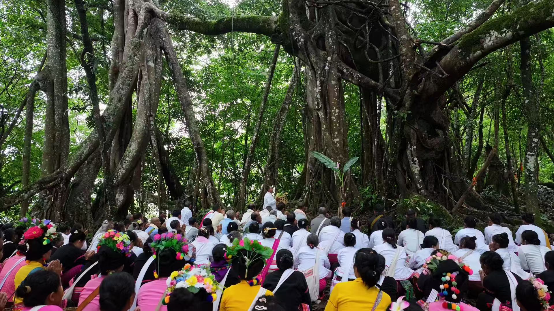 福特奖 曼佤老寨