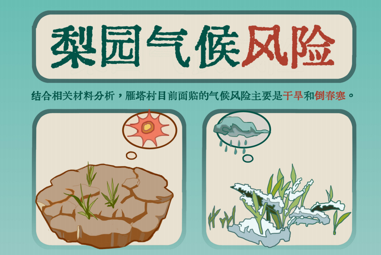 “我为雁塔代言”花巷雁塔第五届梨叶节 乡村振兴 梦南舍