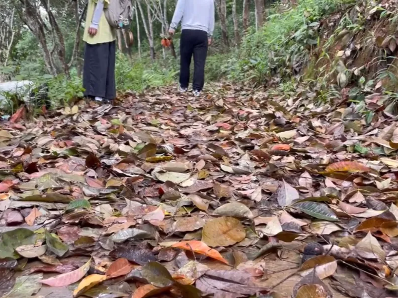 “杞人忧食”小分队：气候变化下，传统村寨去往何方？