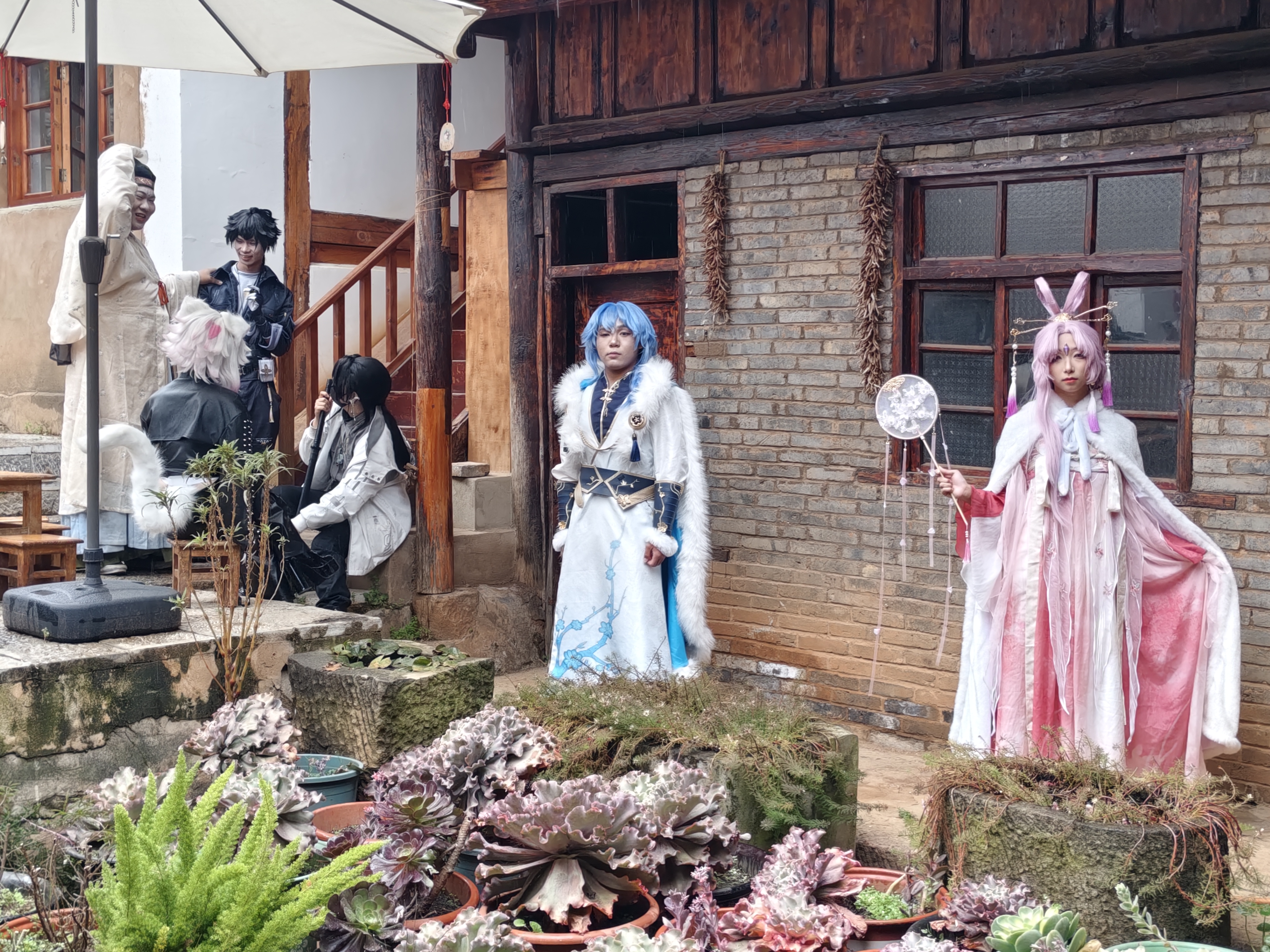 花巷雁塔第五届梨叶节 乐享安宁 梦南舍 乡村振兴