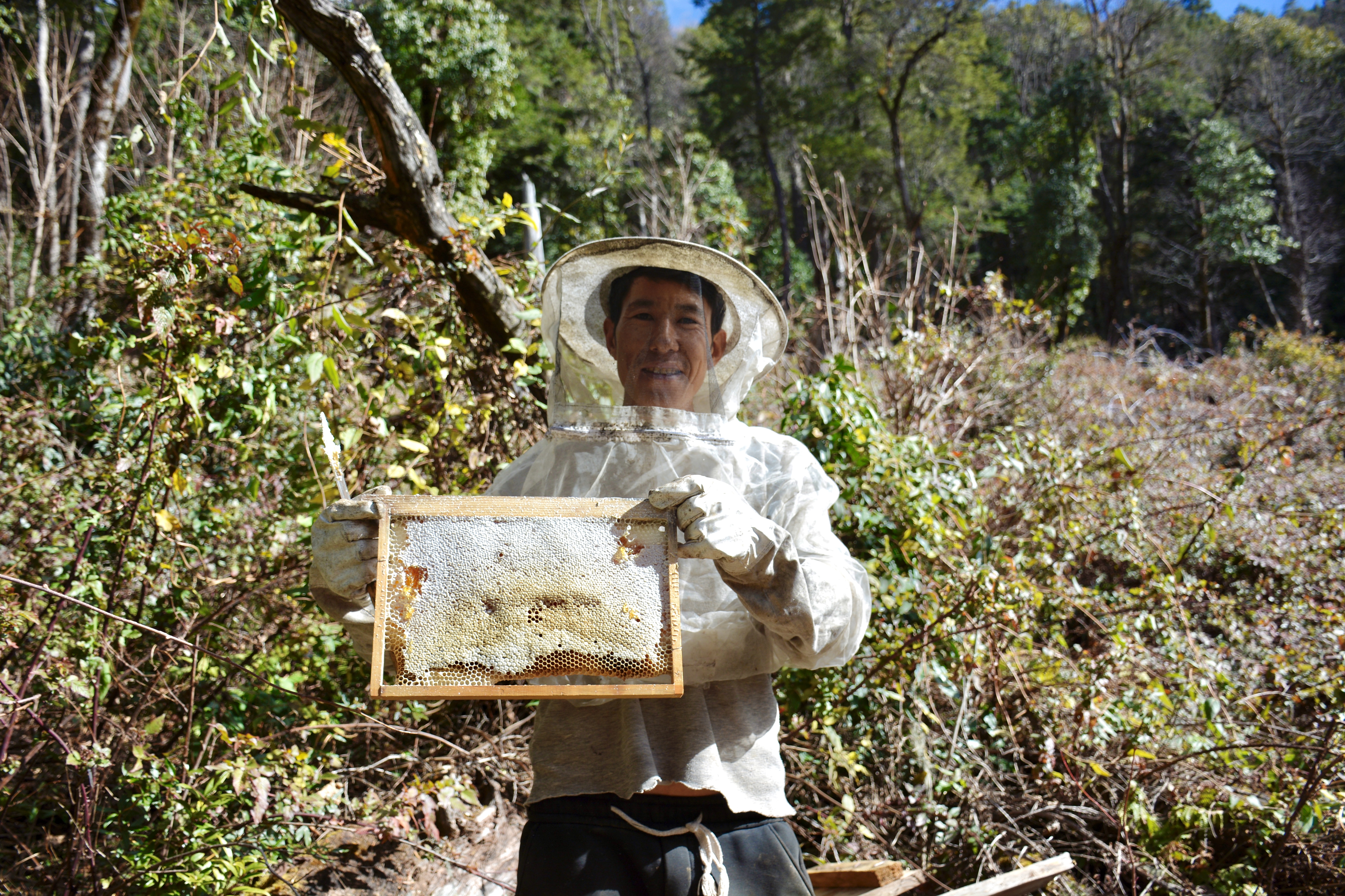 白马雪山 养蜂 蜜蜂 气候变化应对  梦南舍