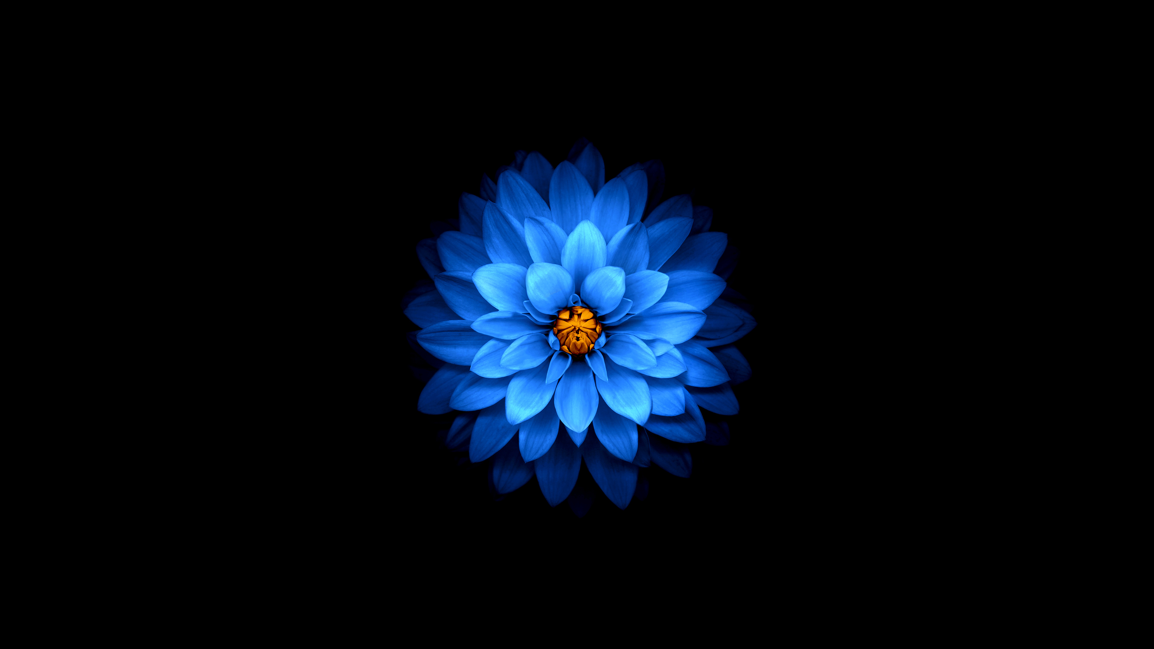 broken image