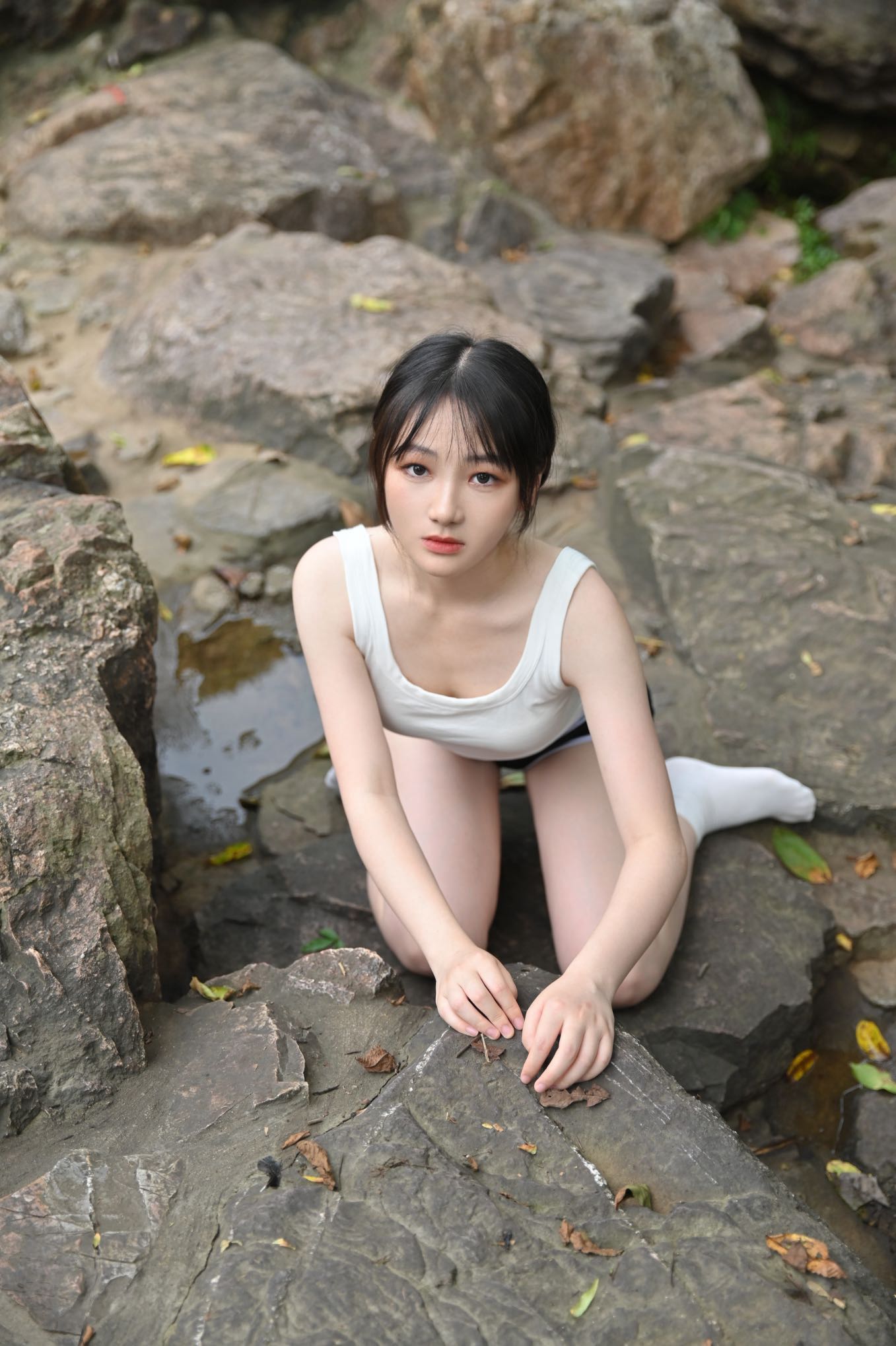 菲菲