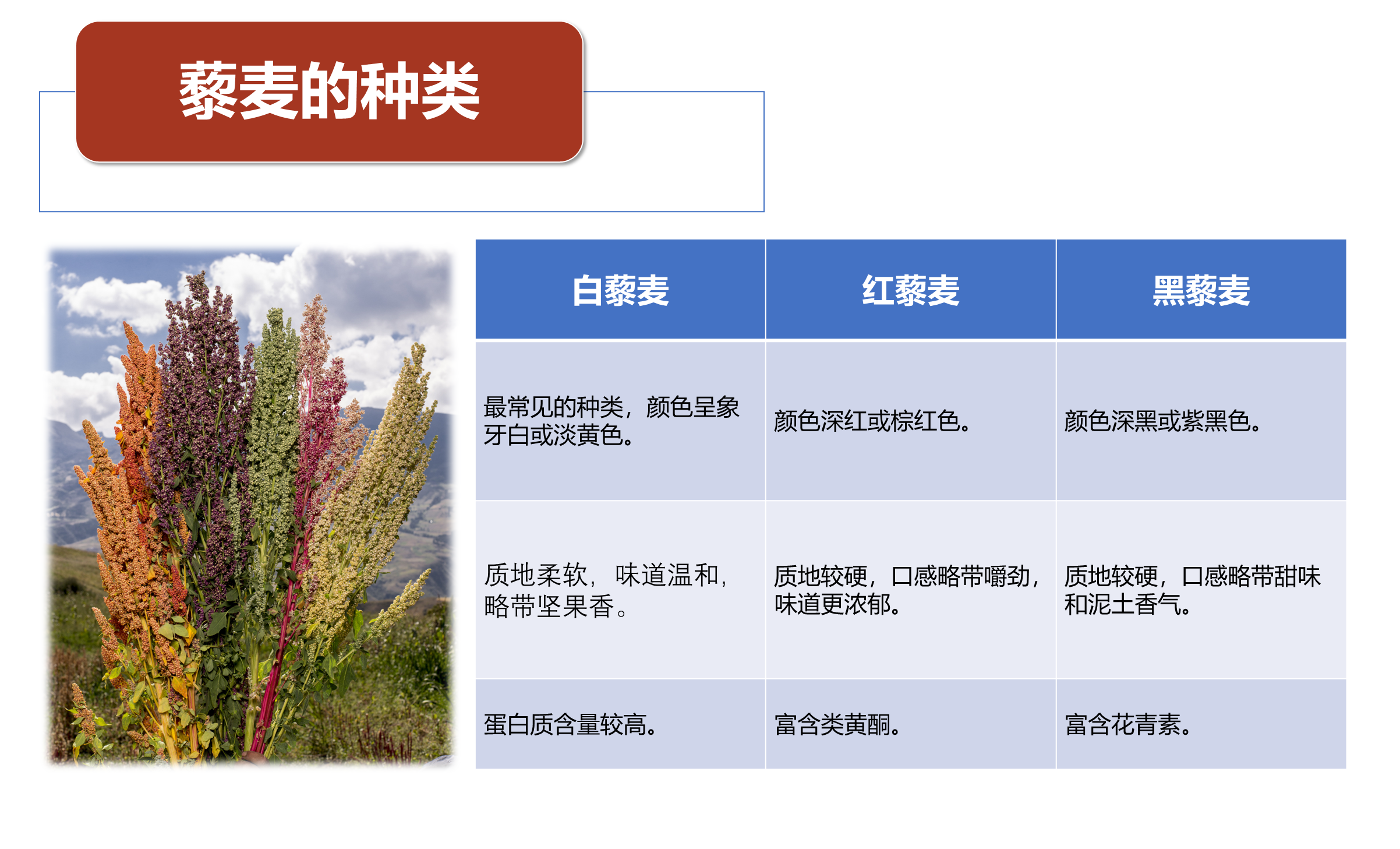 红藜麦粉
