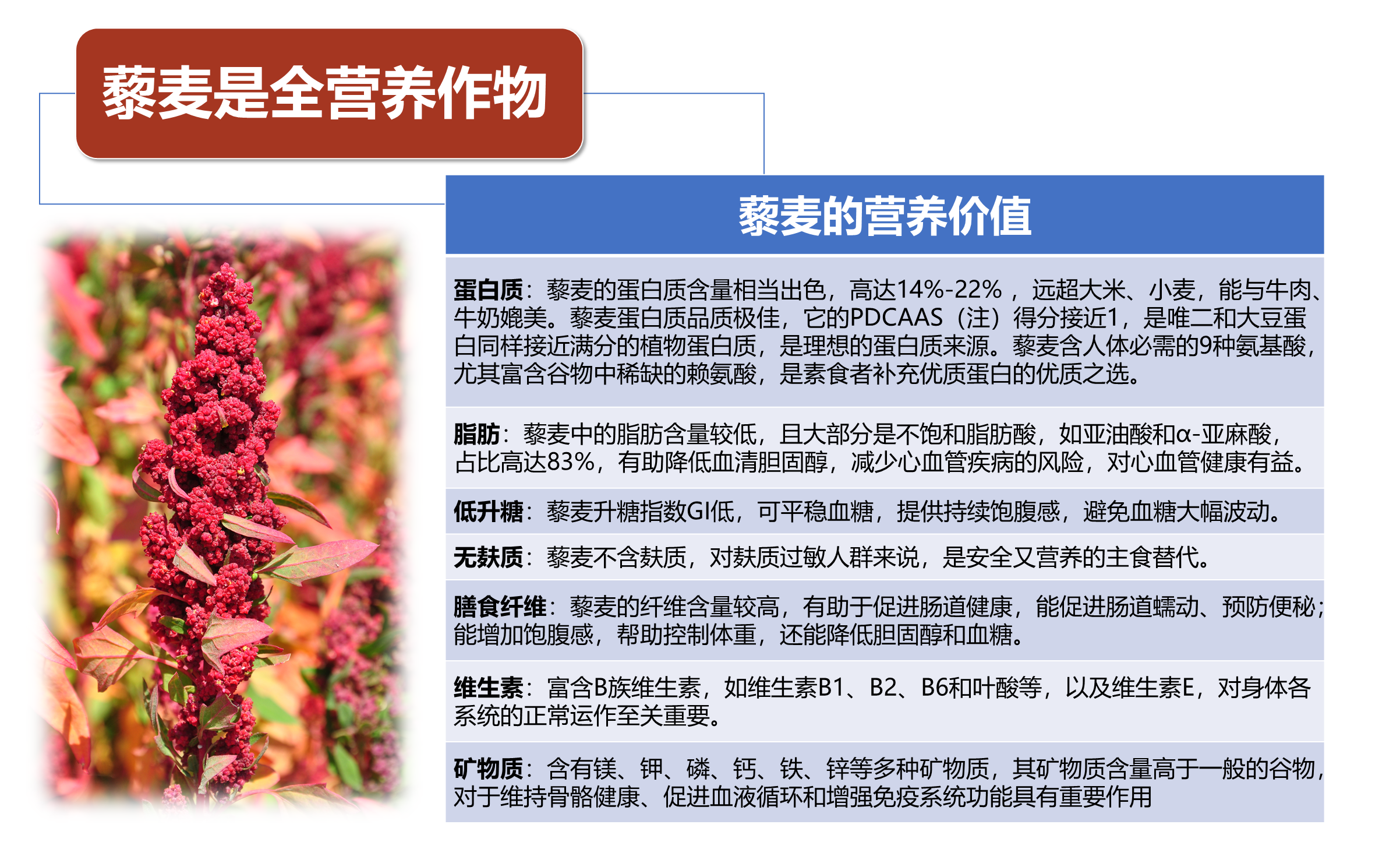 红藜麦粉