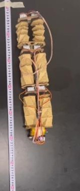 Two-way Movement Pattern