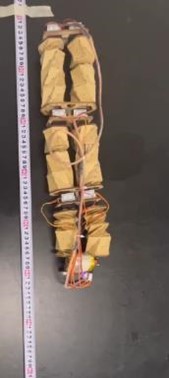 Two-way Movement Pattern