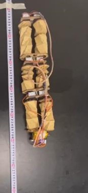 Two-way Movement Pattern