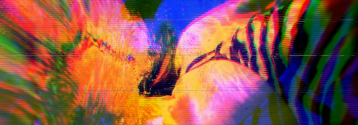 broken image