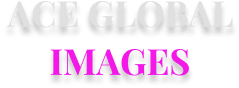 broken image