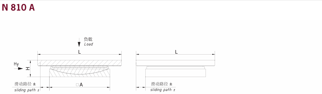 N810A